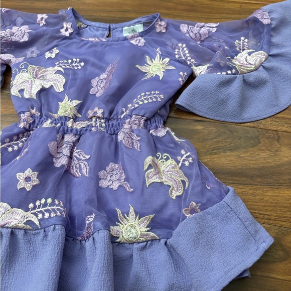 Disney Tangled Rapunzel purple mesh embroidered floral short sleeve dress - Picture 2 of 5